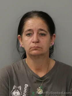 Mugshot of JAMIE ELLEN BIRDSONG booked in Phelps County, Missouri on April 9, 2026