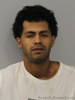 Mugshot of RICARDO ALEXANDER RUJANO-PARADA booked in Phelps County, Missouri on March 24, 2026