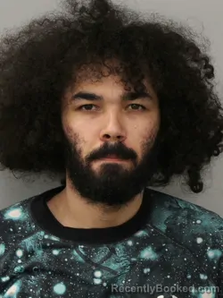 Mugshot of TYLER AUSTIN ISRAEL booked in Phelps County, Missouri on March 26, 2026