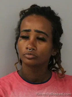 Mugshot of AUDRIEL NICOLE WILLIAMS booked in Phelps County, Missouri on April 3, 2026