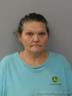 Mugshot of VANESSA RENE JENKINS booked in Phelps County, Missouri on May 26, 2026