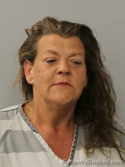 Mugshot of Heather Anne Gibson booked in Phelps County, Missouri on October 2, 2026