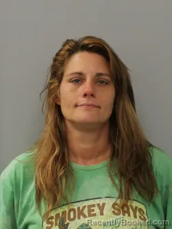 Mugshot of Michelle Elizabeth Williamson booked in Phelps County, Missouri on August 23, 2026