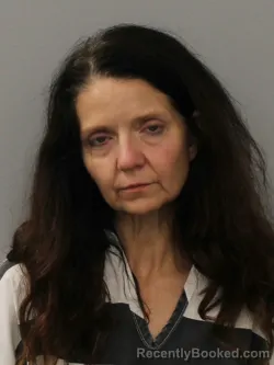 Mugshot of Suzan Rochelle Potter booked in Phelps County, Missouri on September 2, 2026