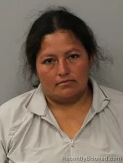 Mugshot of Danely Marizabel Gomez-Bautista booked in Phelps County, Missouri on September 4, 2026