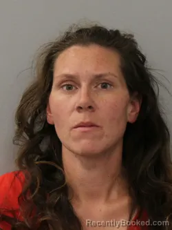 Mugshot of Morgan Ann Harrison booked in Phelps County, Missouri on October 26, 2026