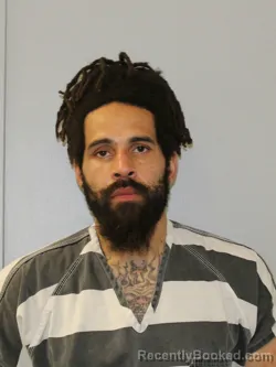 Mugshot of CHRISTIAN DOUGLAS RYAN FITZGERALD