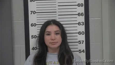 Mugshot of ANDREA CABRAL