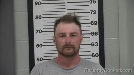 Mugshot of AVERY WADE HILLIS