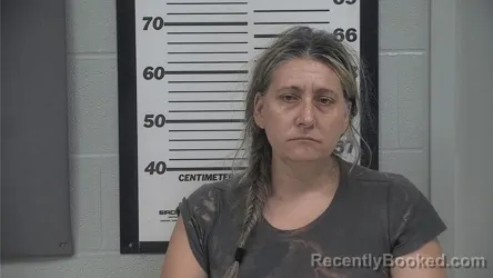 Mugshot of ALEXANDRIA J STEUBER booked in Platte County, Missouri on June 28, 2026