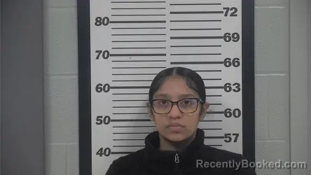 Mugshot of BRIANNA MARIE JONES