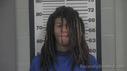 Mugshot of BRANDON MUHAMMAD-SPRINGS