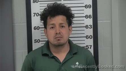 Mugshot of BLADIMIR PEREZ CRUZ