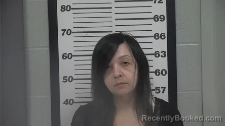 Mugshot of BREANNA ROSE PANTER
