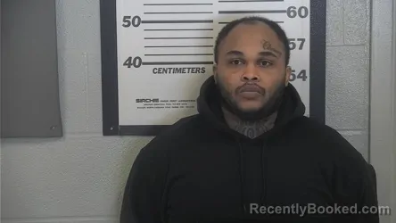 Mugshot of COURTNEY S SANDERS