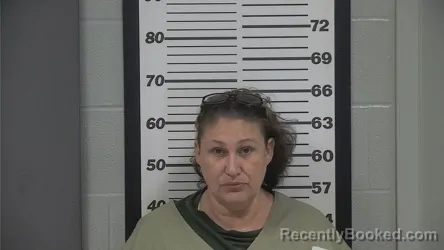 Mugshot of DAWN M LEVI booked in Platte County, Missouri on May 4, 2026