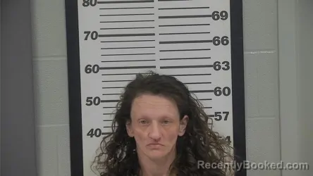 Mugshot of DIANA A NOE