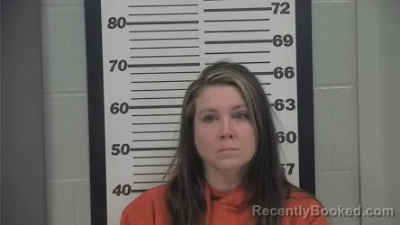 Mugshot of ERIN GAYLE MCLAY