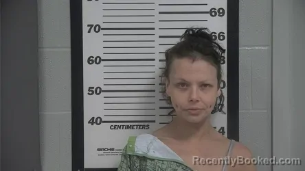 Mugshot of Emily E Nicholson booked in Platte County, Missouri on August 27, 2026