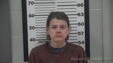 Mugshot of JENNIFER ERIN FLETCHALL