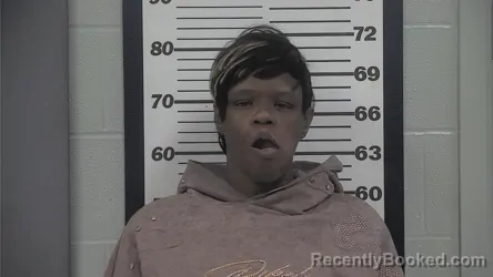 Mugshot of JACQUELINE FERDINAND