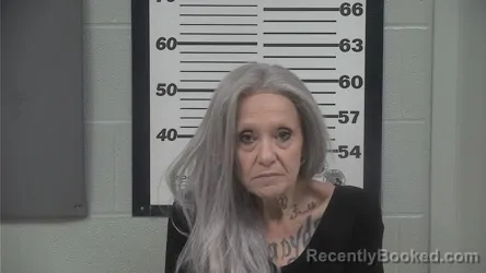 Mugshot of JENNIFER RENEE NEITZER booked in Platte County, Missouri on July 30, 2026