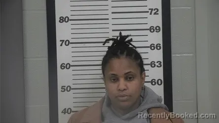 Mugshot of MEAGAN D HUDDLESTON