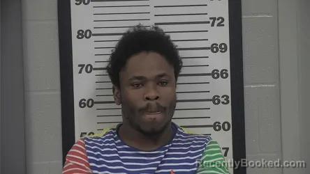 Mugshot of RAMAINE HUMES