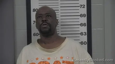 Mugshot of RONALD L PAYNE