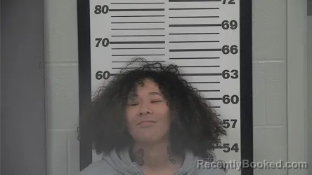 Mugshot of SHIRELLE A WILSON