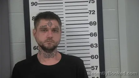 Mugshot of TYLER MCFATRICH