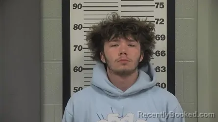 Booking photo from Platte County, Missouri