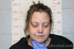 Booking photo from Polk County, Missouri