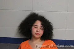 Mugshot of TAYLIANNA DEJA JAMISON booked in Polk County, Missouri on April 1, 2026