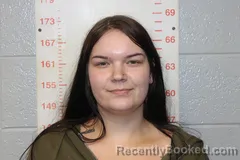 Mugshot of MICHELLE GABRIEL COLLINS booked in Polk County, Missouri on June 21, 2026