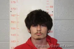 Mugshot of TYLER DYLAN FIGGINS booked in Polk County, Missouri on June 26, 2026