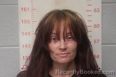 Mugshot of DESTINI ROSE SAWYER booked in Polk County, Missouri on July 28, 2026