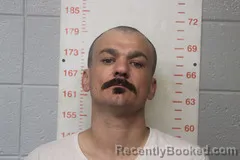 Mugshot of Colton Nelson booked in Polk County, Missouri on August 11, 2026