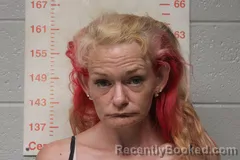 Mugshot of Taylor Renae Patterson booked in Polk County, Missouri on September 10, 2026