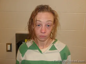 Mugshot of CRYSTAL ANN REED booked in Pulaski County, Missouri on March 24, 2026