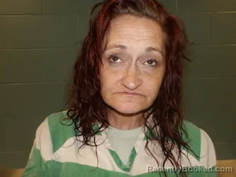 Mugshot of CHRISTINE JOLENE ZAHN booked in Pulaski County, Missouri on April 30, 2026