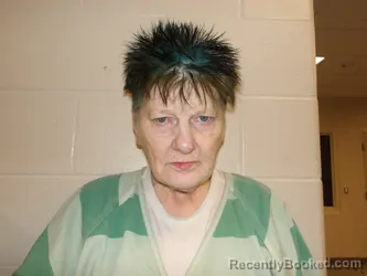 Mugshot of CATHY LETA GATES booked in Pulaski County, Missouri on April 30, 2026