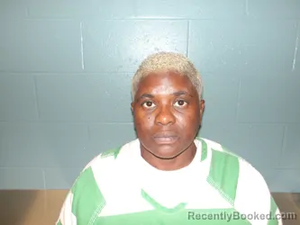 Mugshot of FELECIA ANN BARNES booked in Pulaski County, Missouri on May 28, 2026