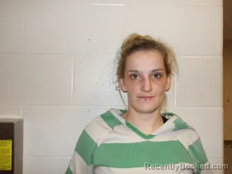 Mugshot of MEGAN LAURA COLER booked in Pulaski County, Missouri on June 10, 2026