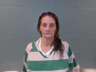 Mugshot of Chandel Lynn Chavez booked in Pulaski County, Missouri on August 20, 2026