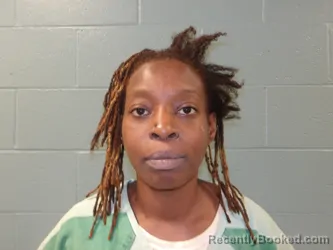 Mugshot of Ashley Marie York booked in Pulaski County, Missouri on August 24, 2026