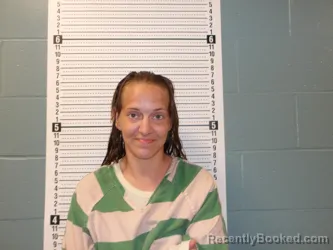 Mugshot of Erika Marie Parsley booked in Pulaski County, Missouri on October 2, 2026