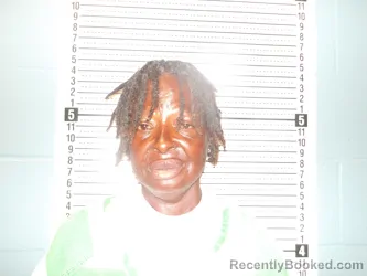 Mugshot of Valerie Lynne Sturkey booked in Pulaski County, Missouri on October 3, 2026