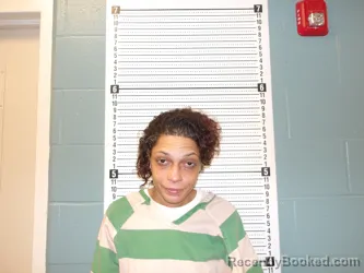 Mugshot of Megan Dawn Schafer booked in Pulaski County, Missouri on October 21, 2026