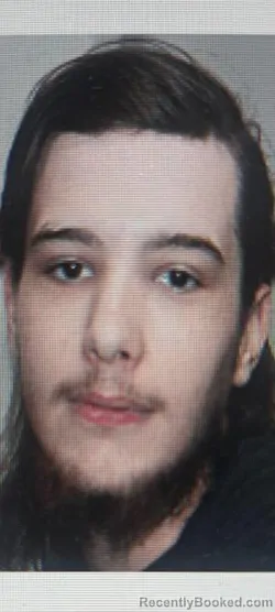 Mugshot of Triston H Anders